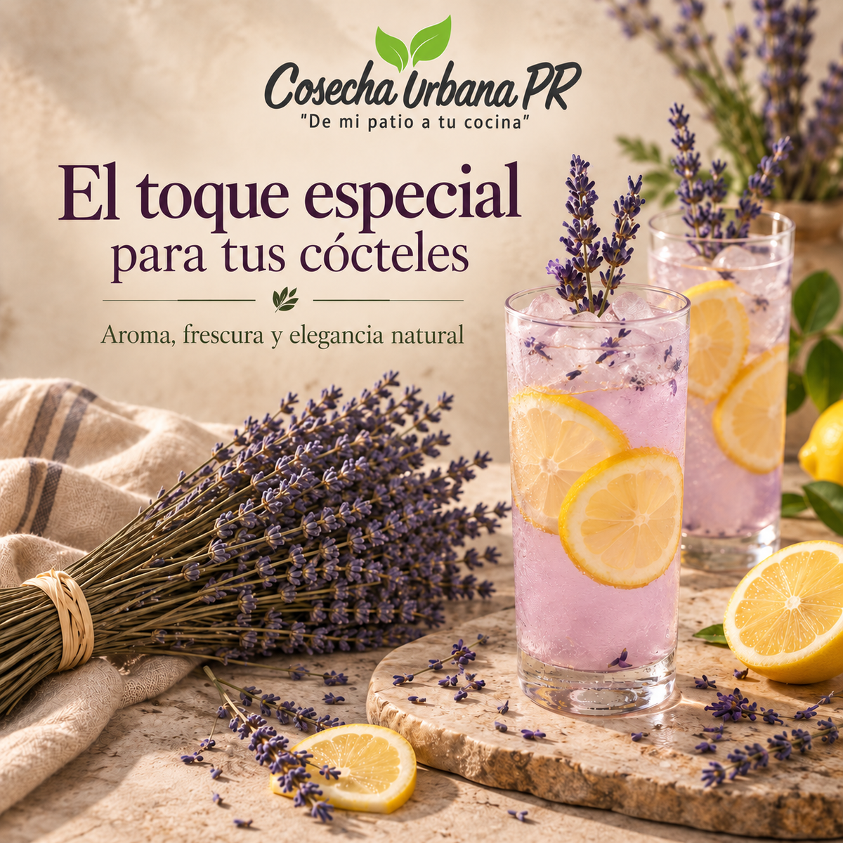 Lavanda Stick deshidratadas