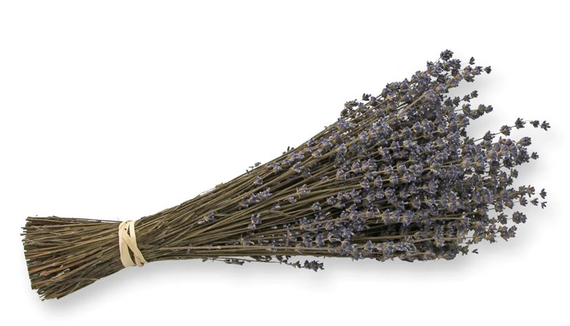 Lavanda Stick deshidratadas
