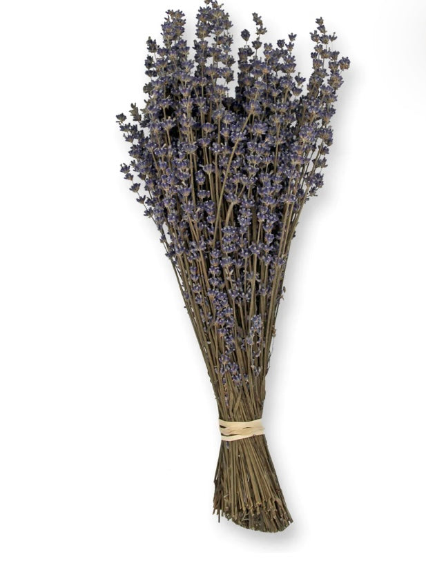 Lavanda Stick deshidratadas