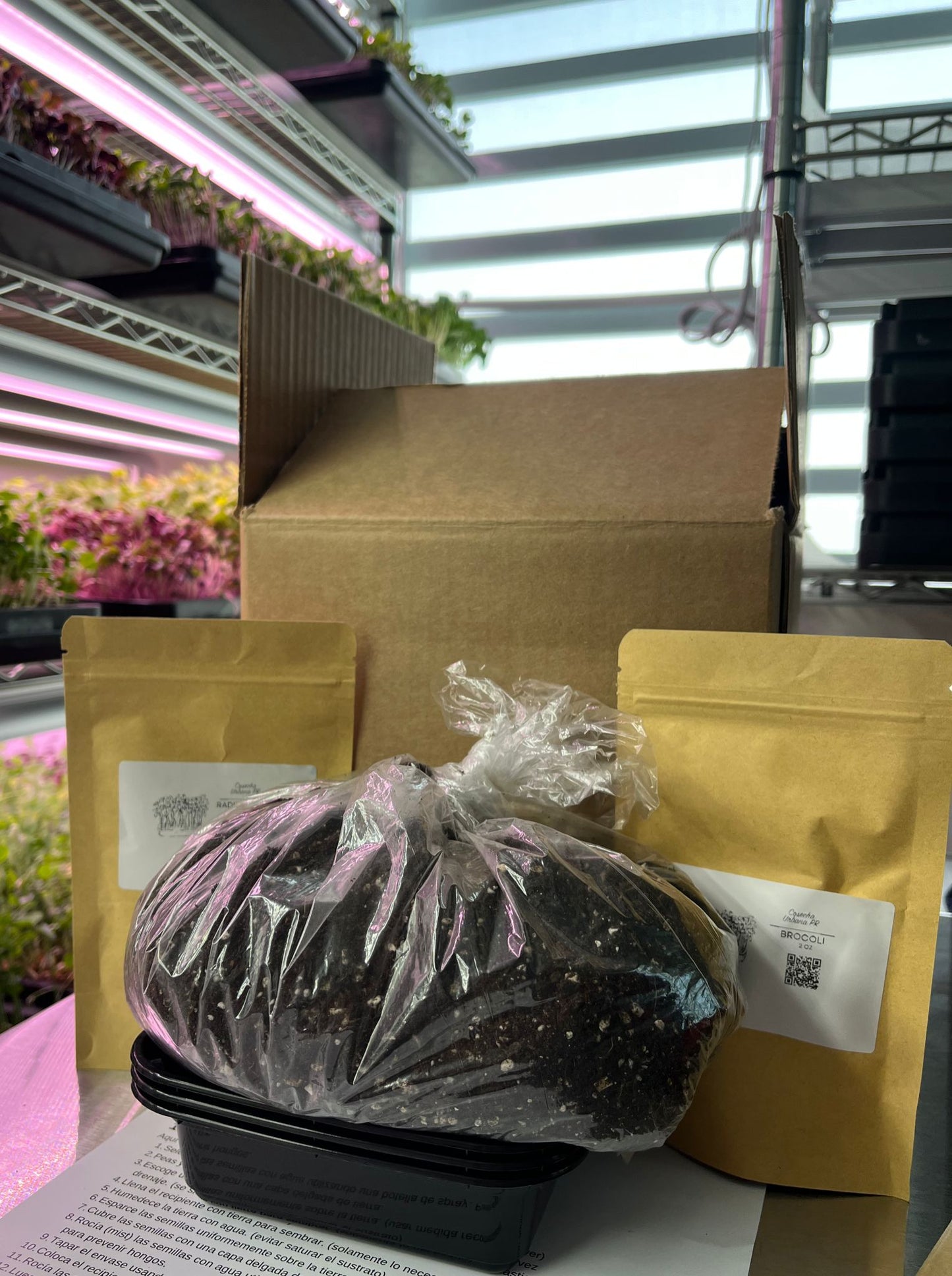 Kit microgreens (mini trays)