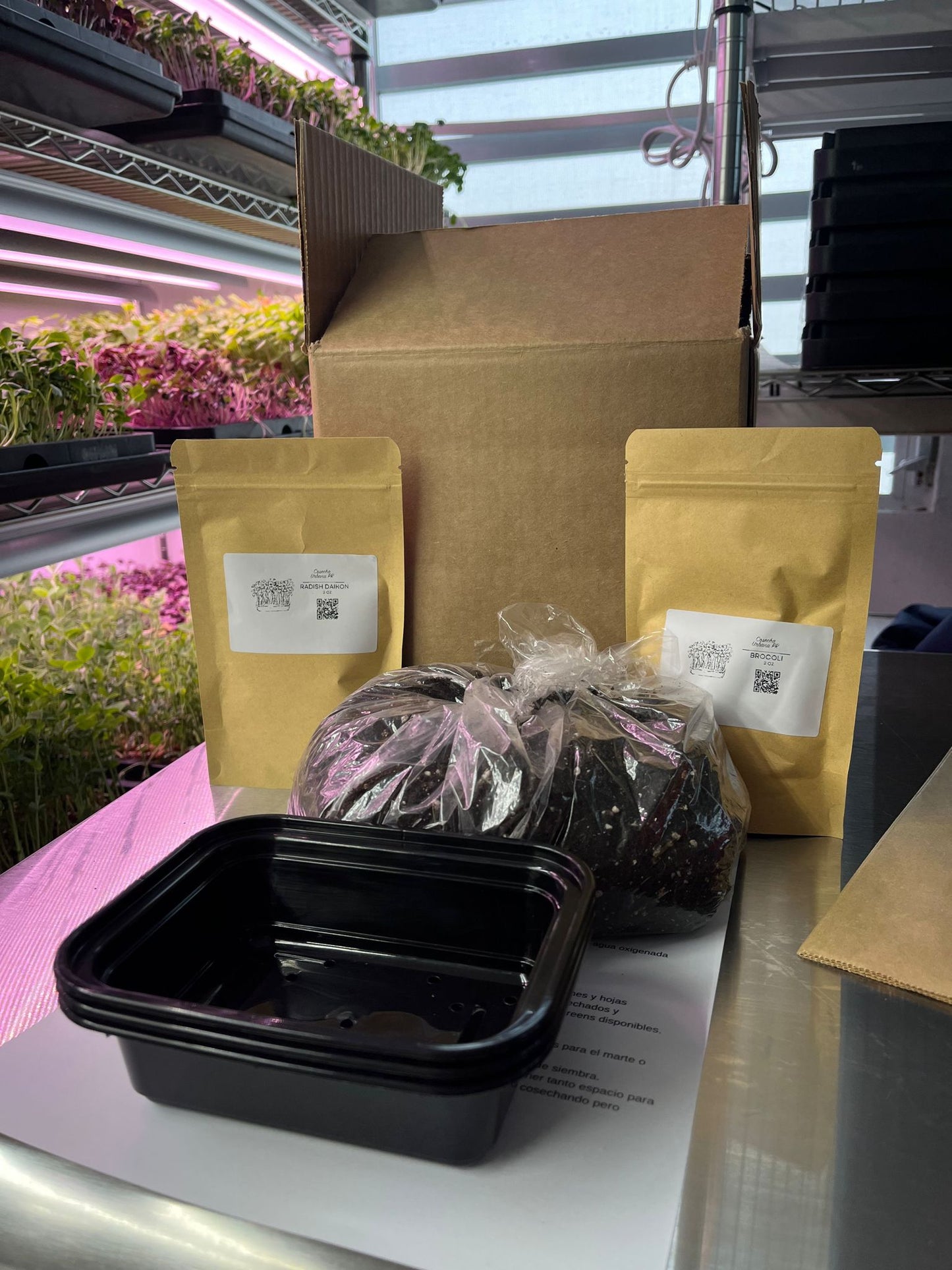 Kit microgreens (mini trays)