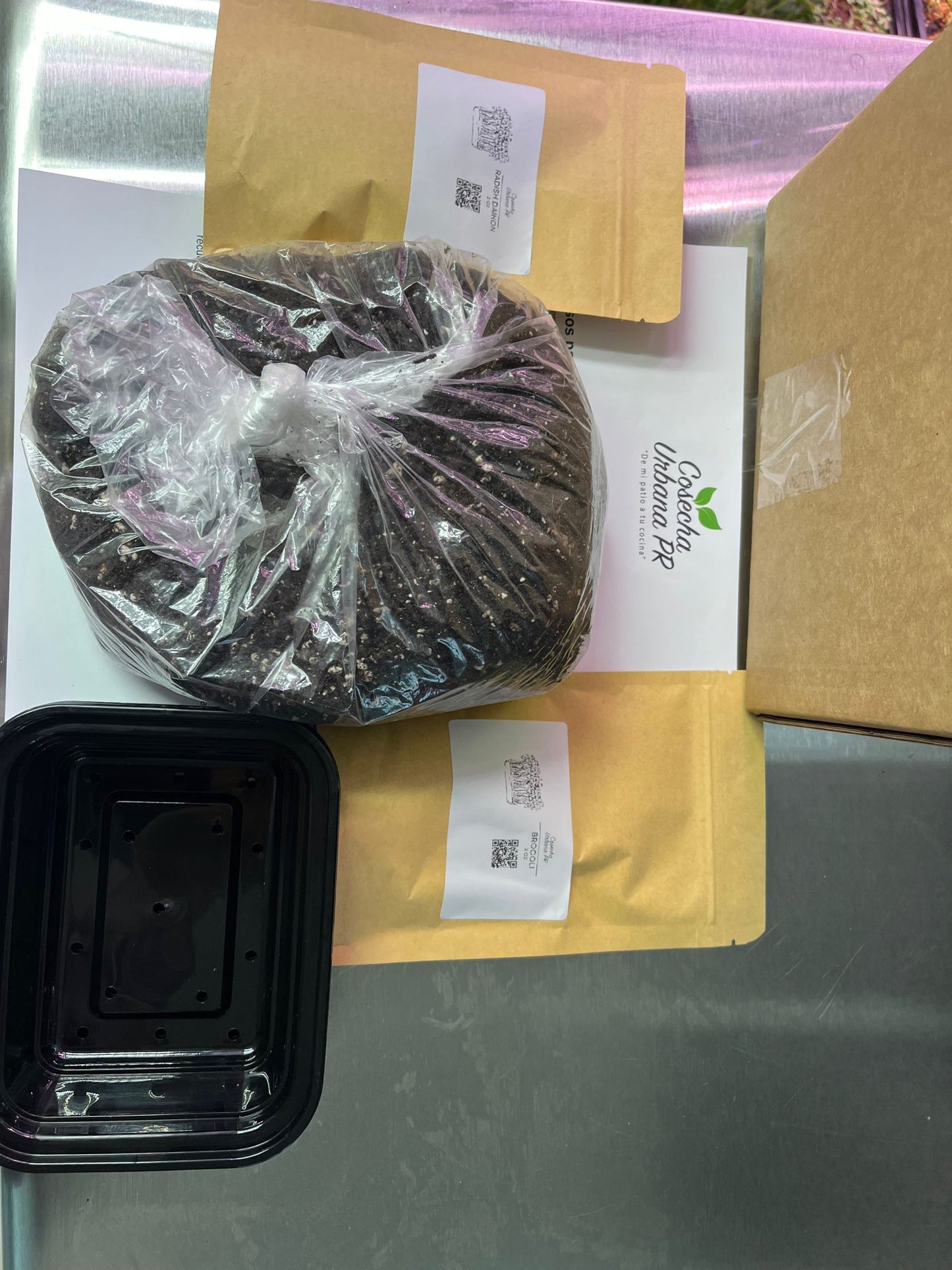 Kit microgreens (mini trays)