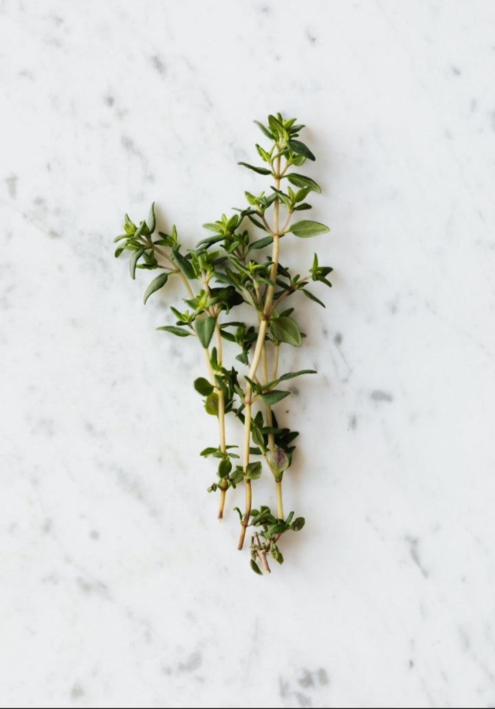 Tomillo (thyme)