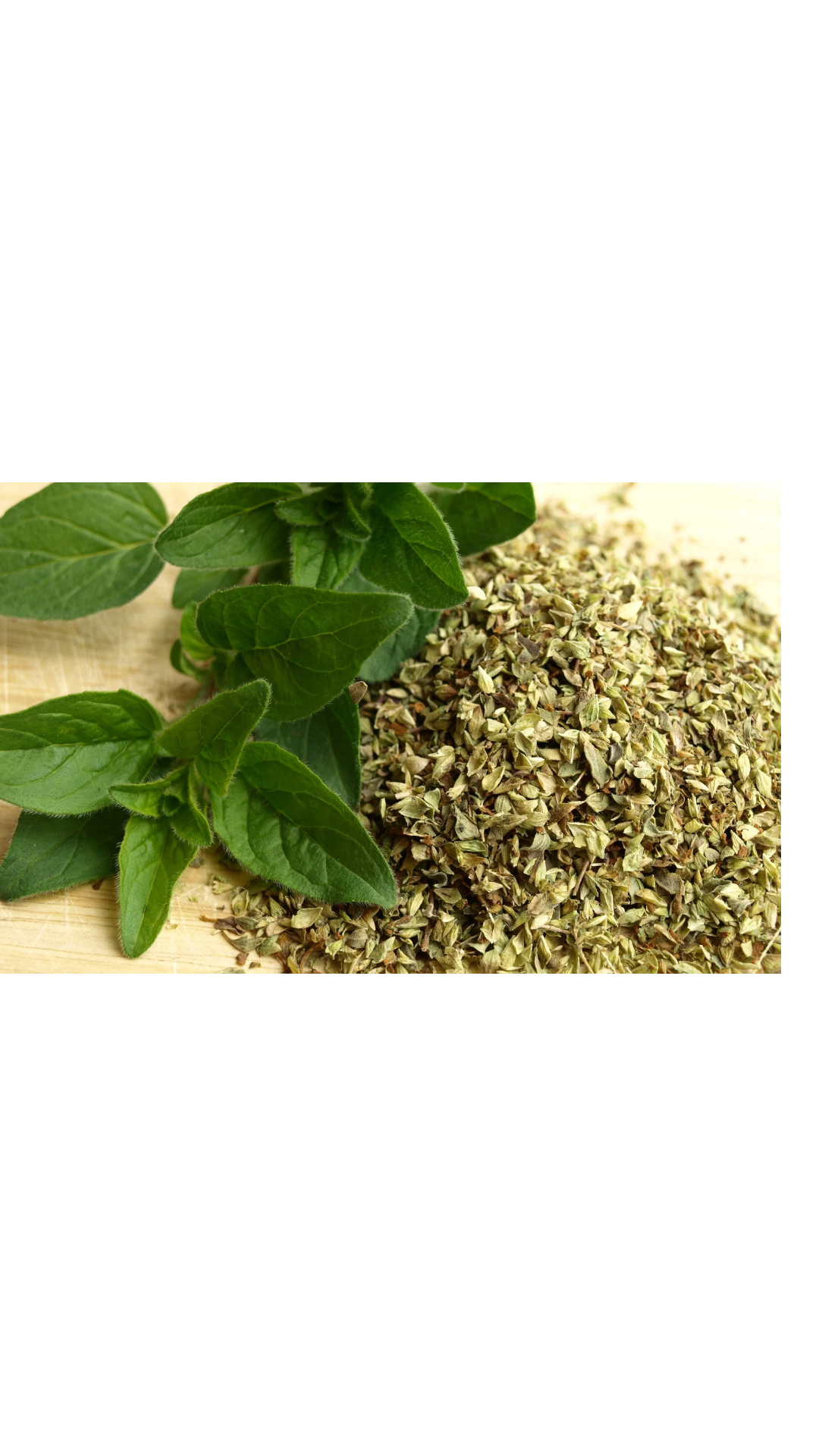 Oregano griego