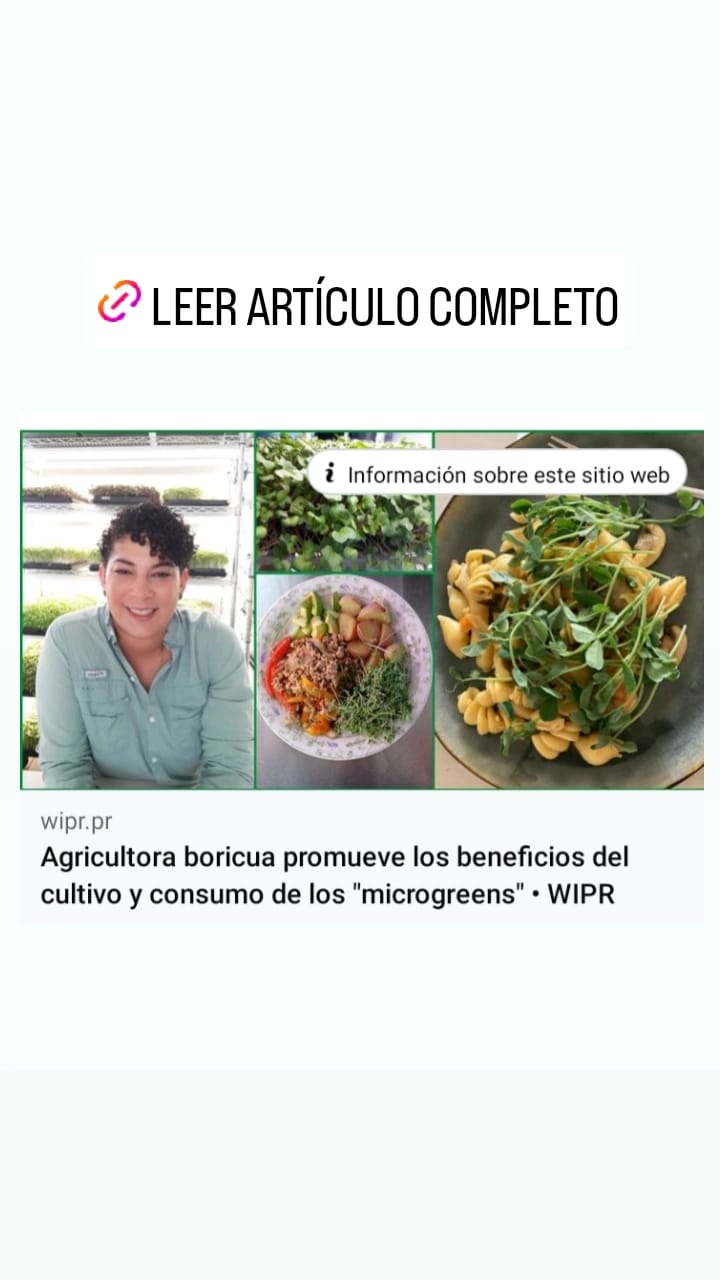 Agricultora boricua promueve beneficios del cultivo y consumo de los “microgreens”