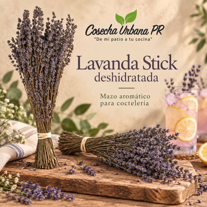Lavanda Stick deshidratadas