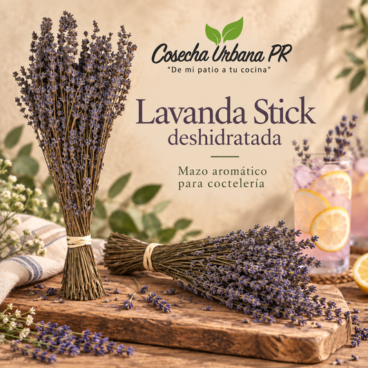 Lavanda Stick deshidratadas