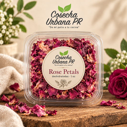 Rose petals deshidratada