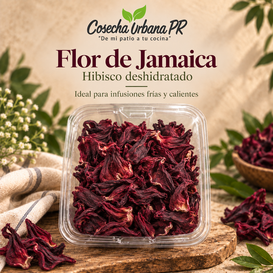 Flor de Jamaica