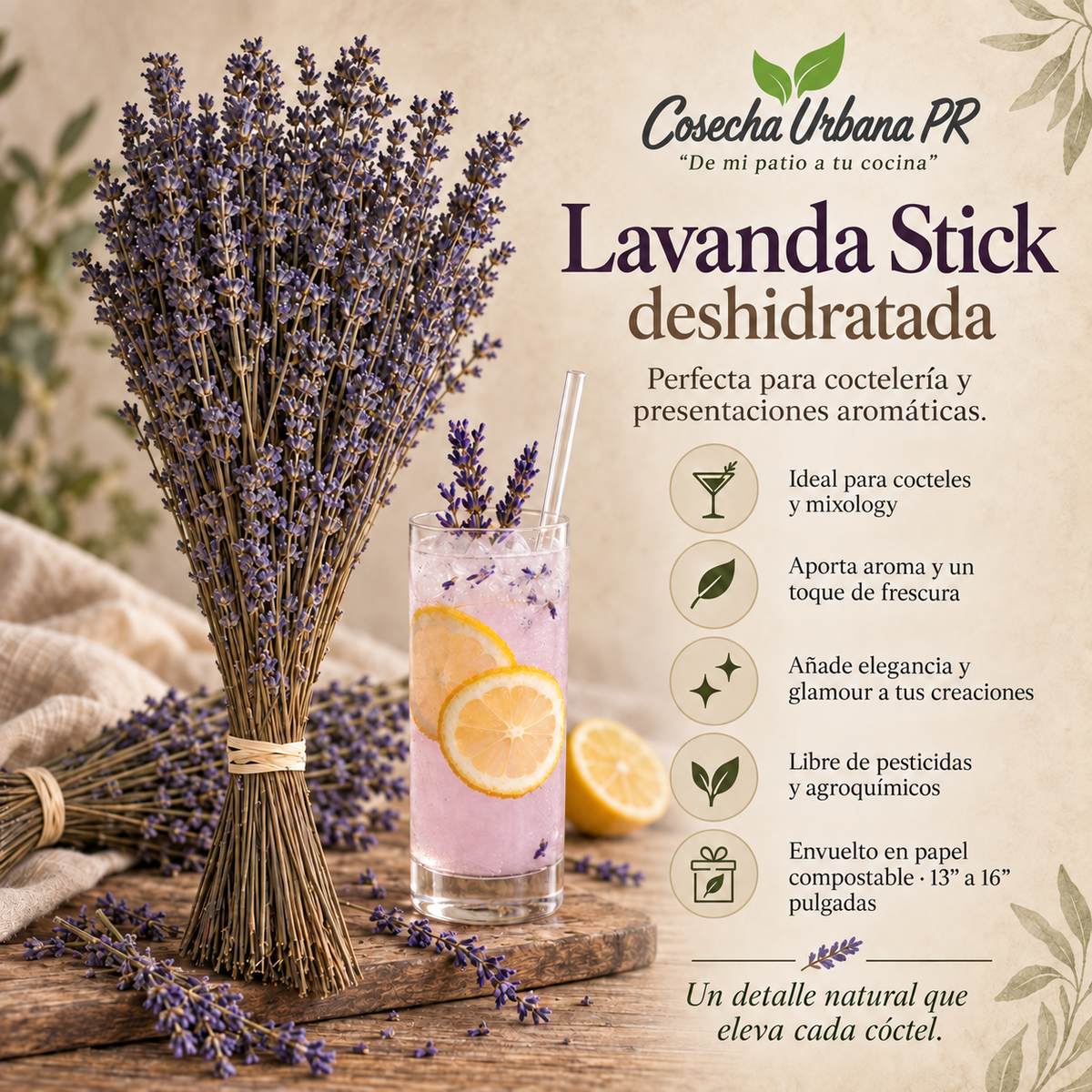 Lavanda Stick deshidratadas