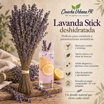 Lavanda Stick deshidratadas