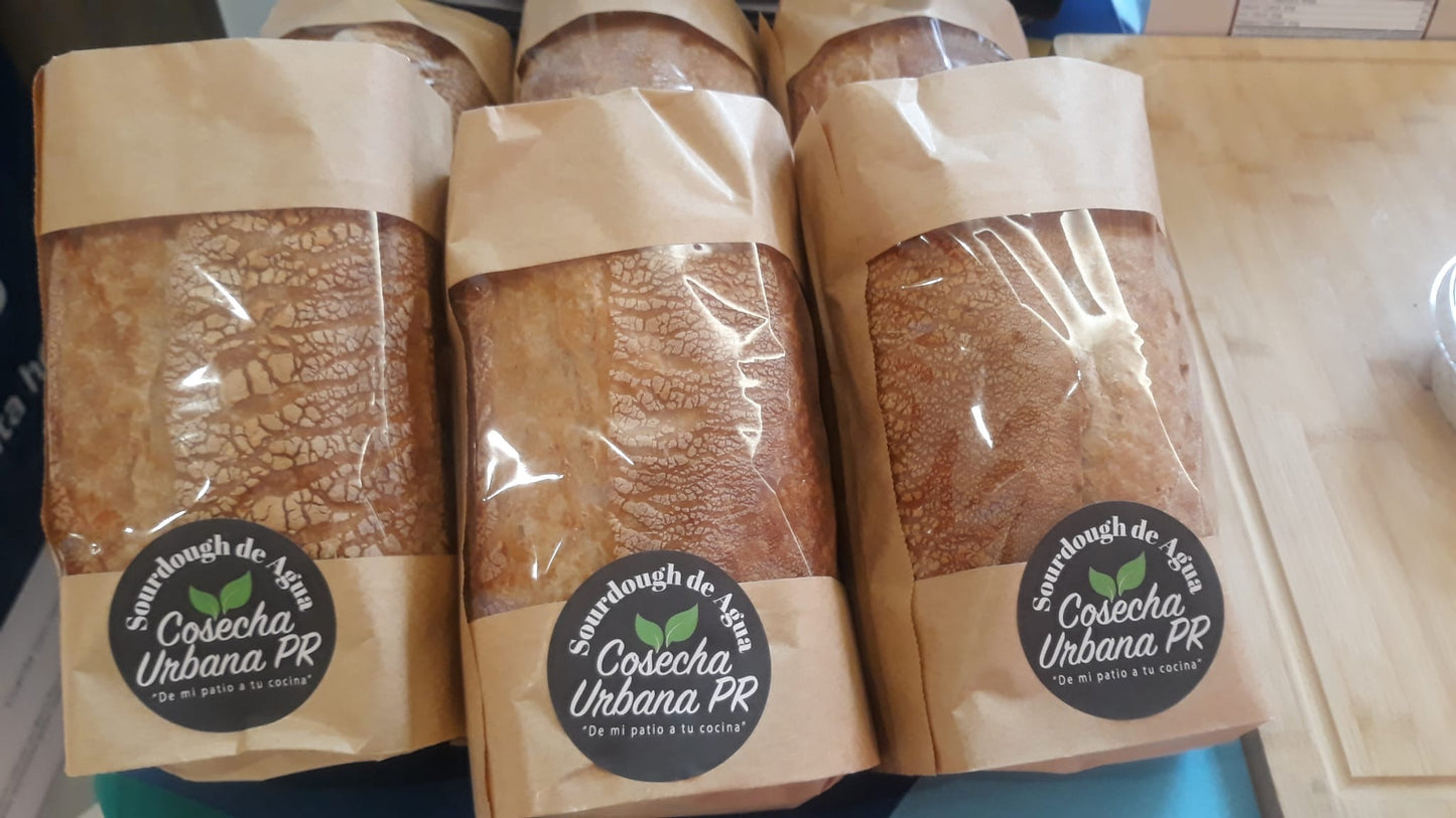 Sourdough de Agua