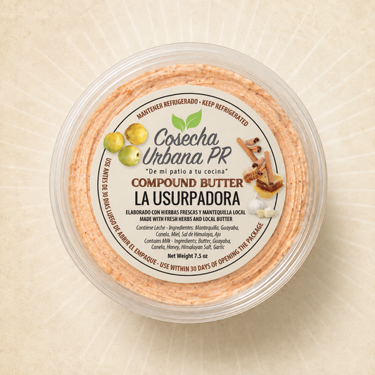 La Usurpadora